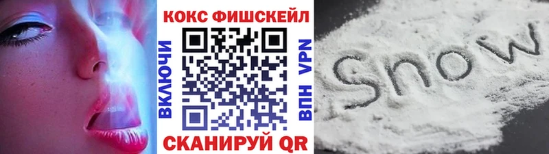 КОКАИН Fish Scale  Купить закладки  Старая Русса 