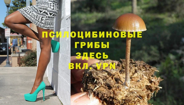 дживик Заволжье