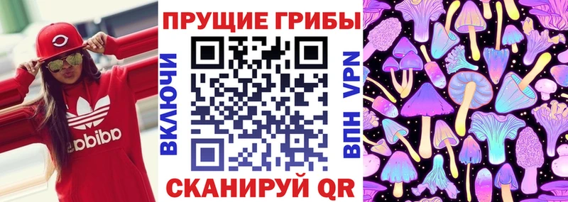 Псилоцибиновые грибы GOLDEN TEACHER  Купить  Старая Русса 